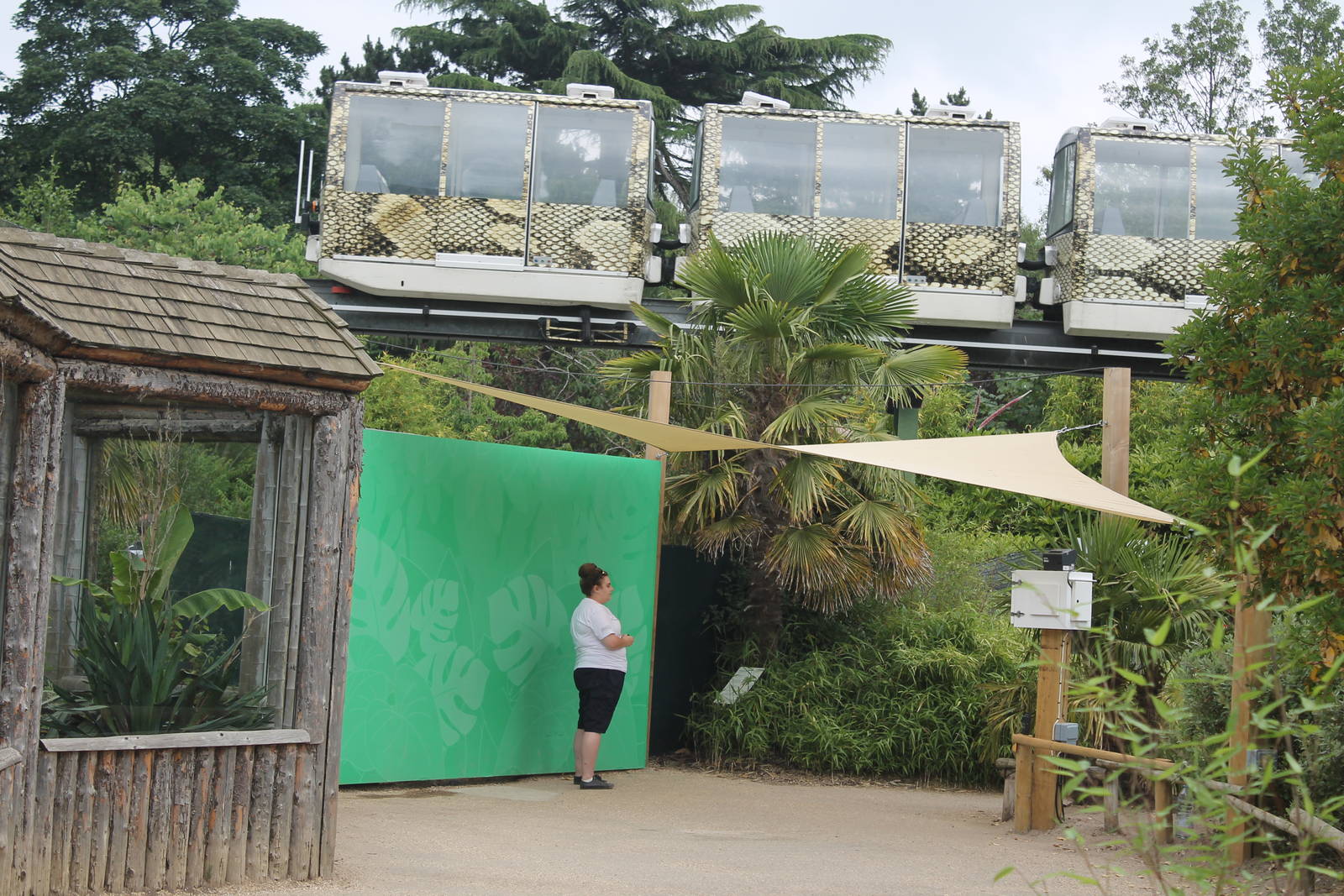 Photography area Bugs Chester 2013