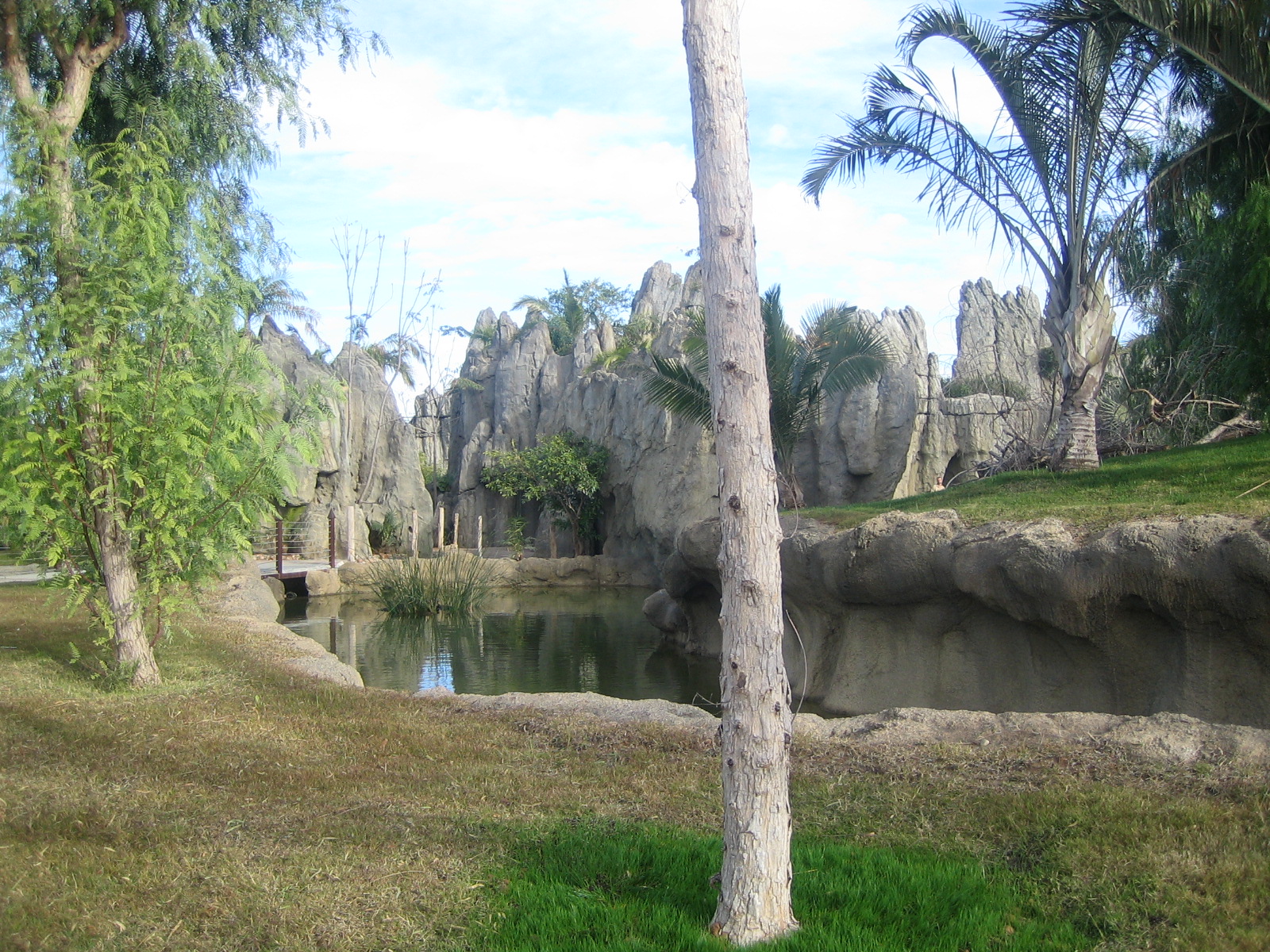 photos before the opening for the general public