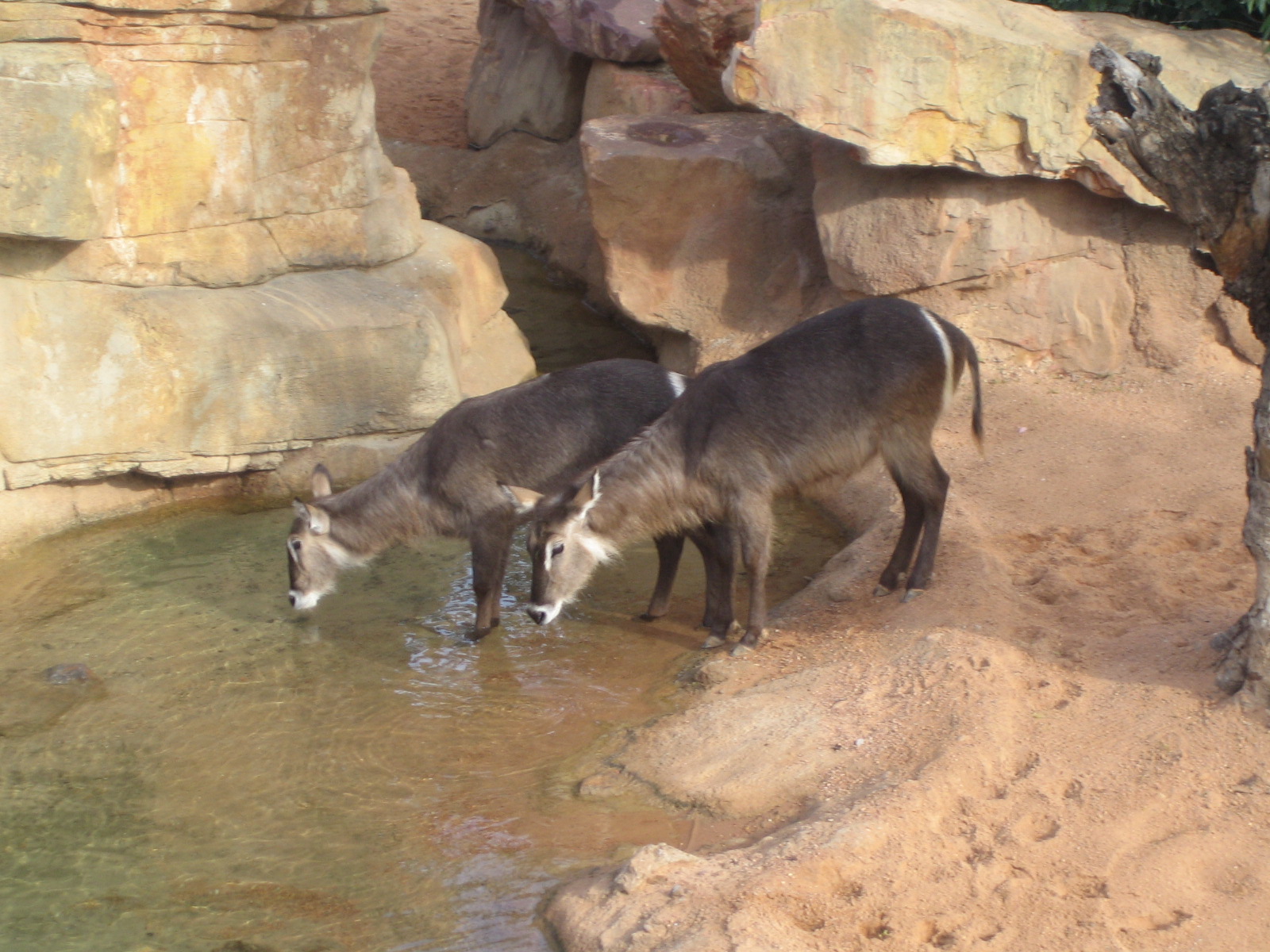 photos before the opening for the general public