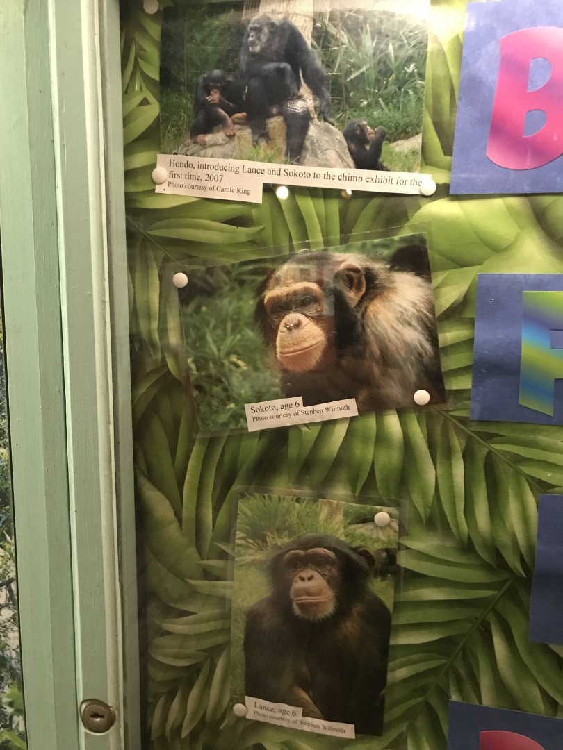 Photos of Hondo and Young Lance and Sokoto