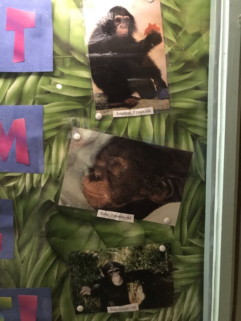 Photos of Young Jonathan, Ruby, and Amy