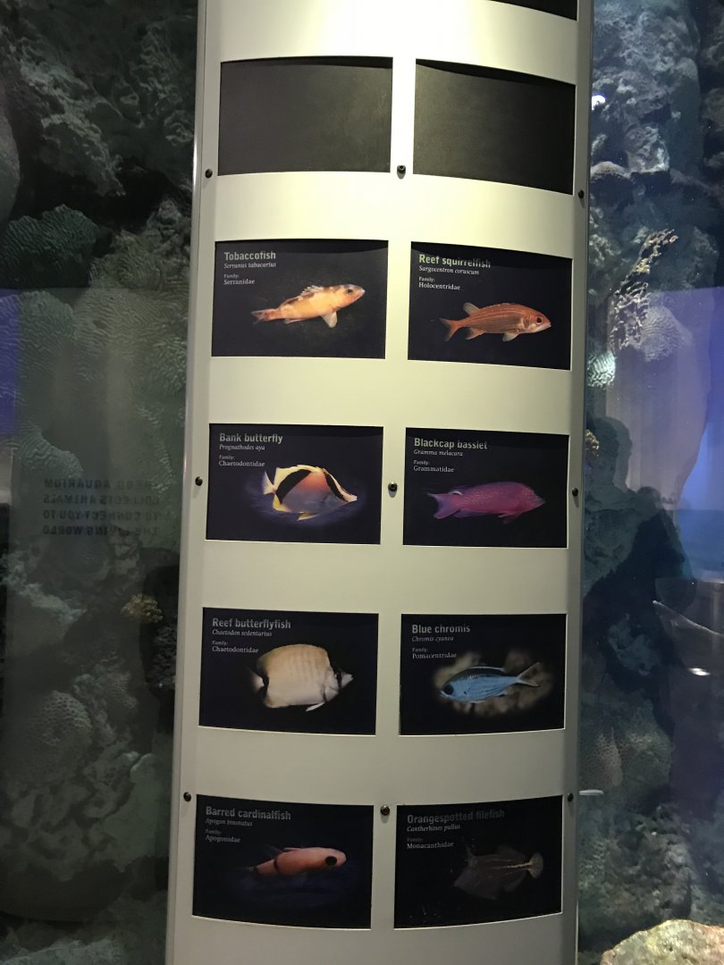 Physical signage example