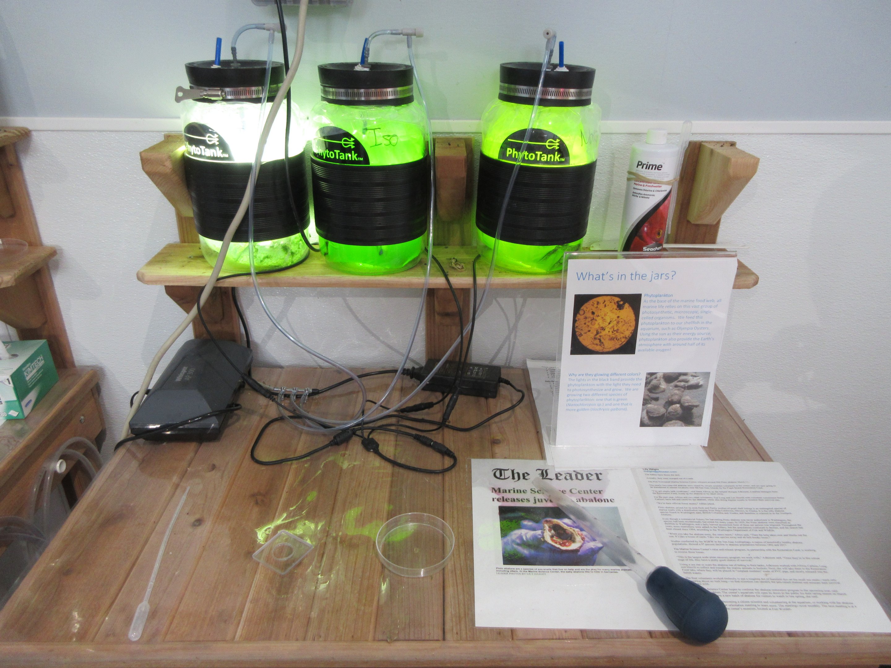 Phytoplankton Exhibit