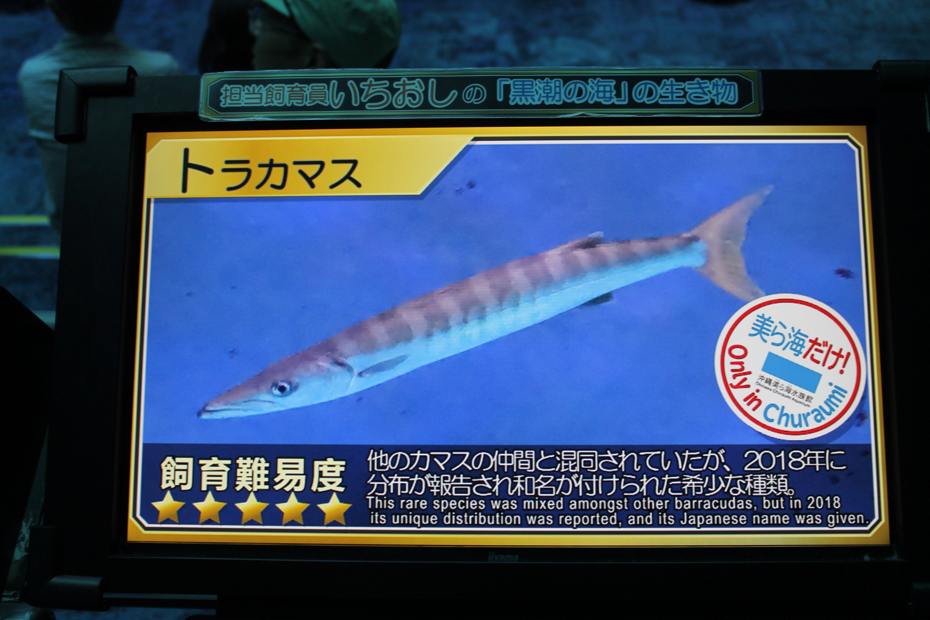 Pick-handle Barracuda signage