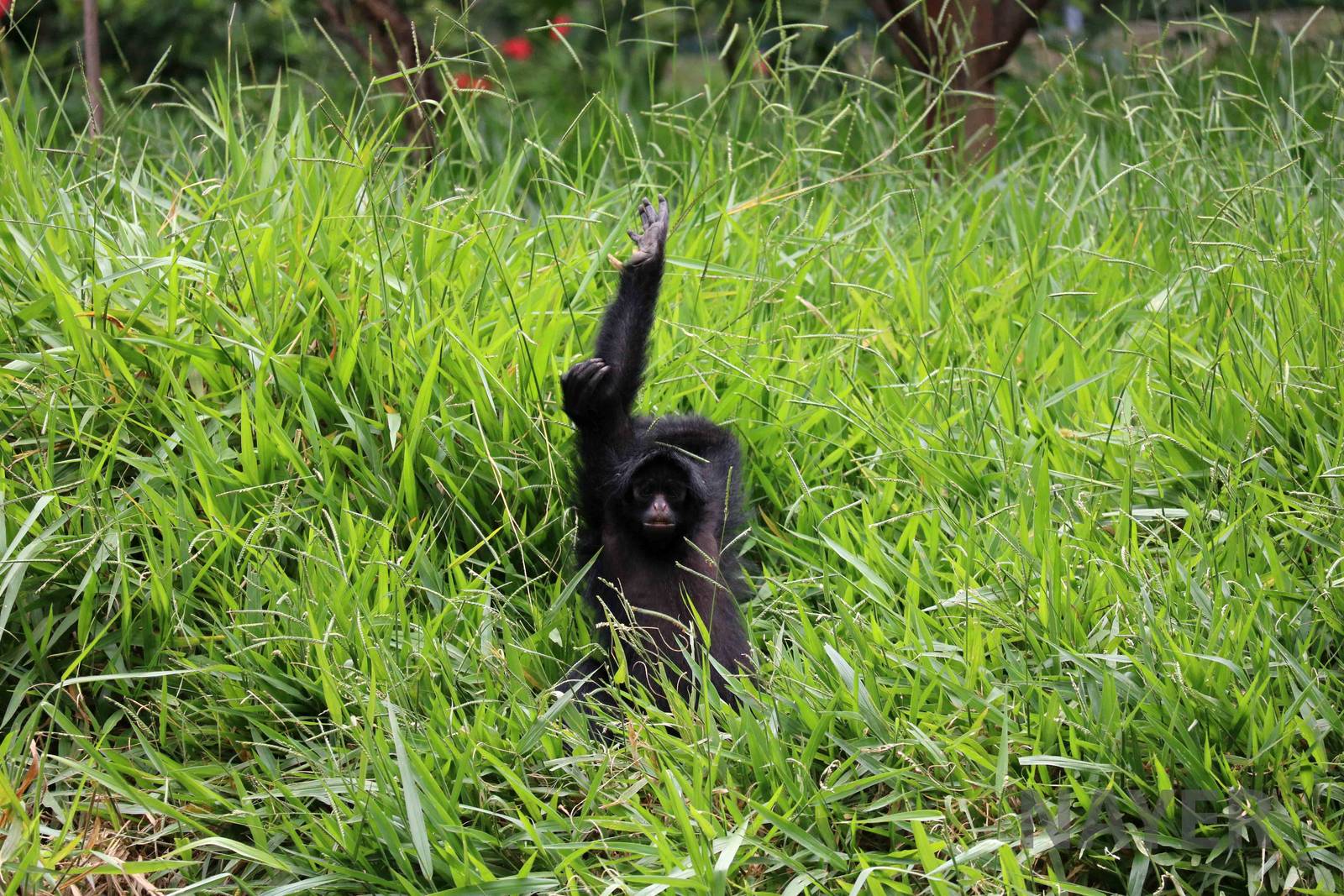 Pick me! Pick me! March 2016