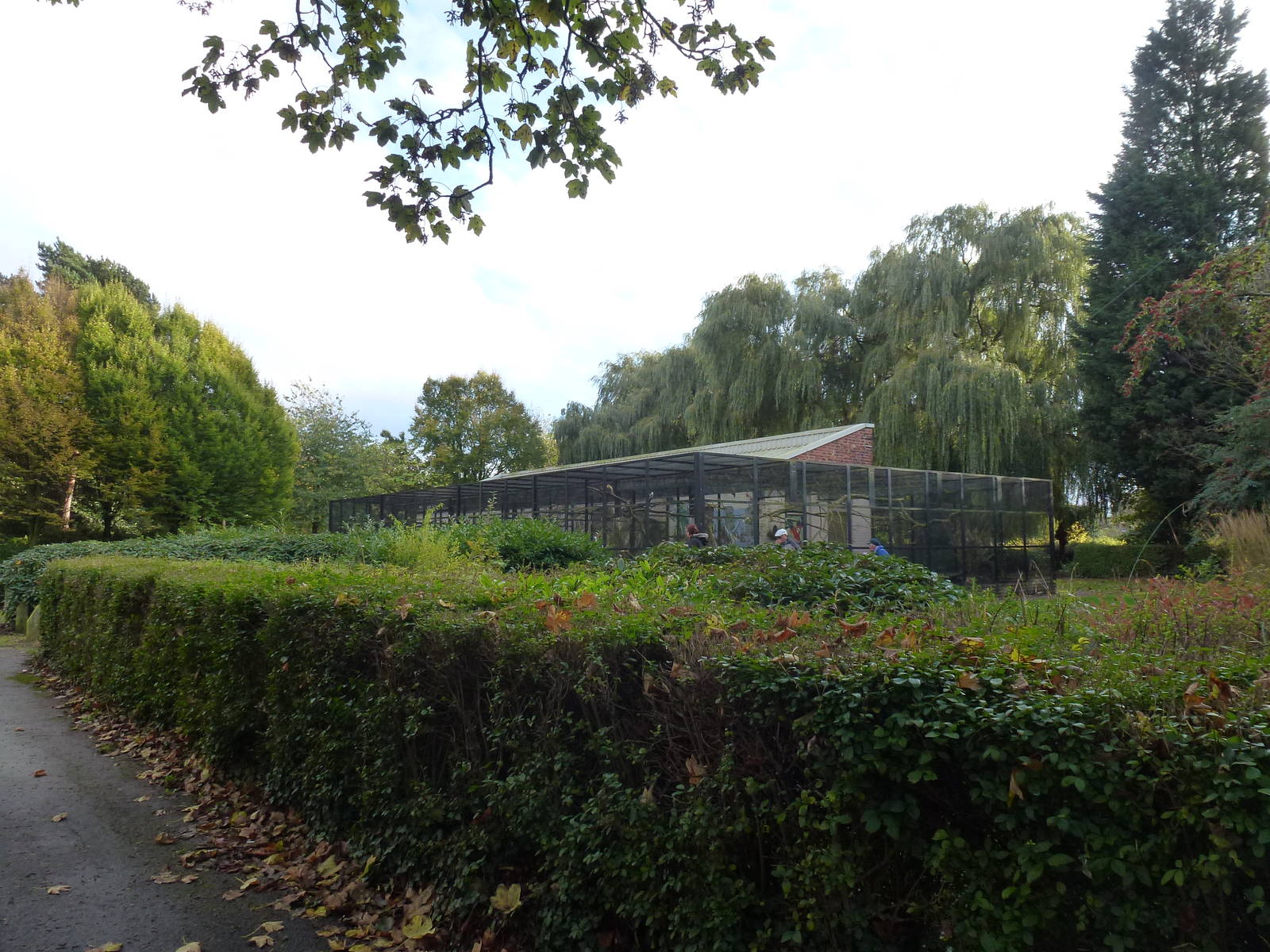 Pickering Park aviaries, November 2013.