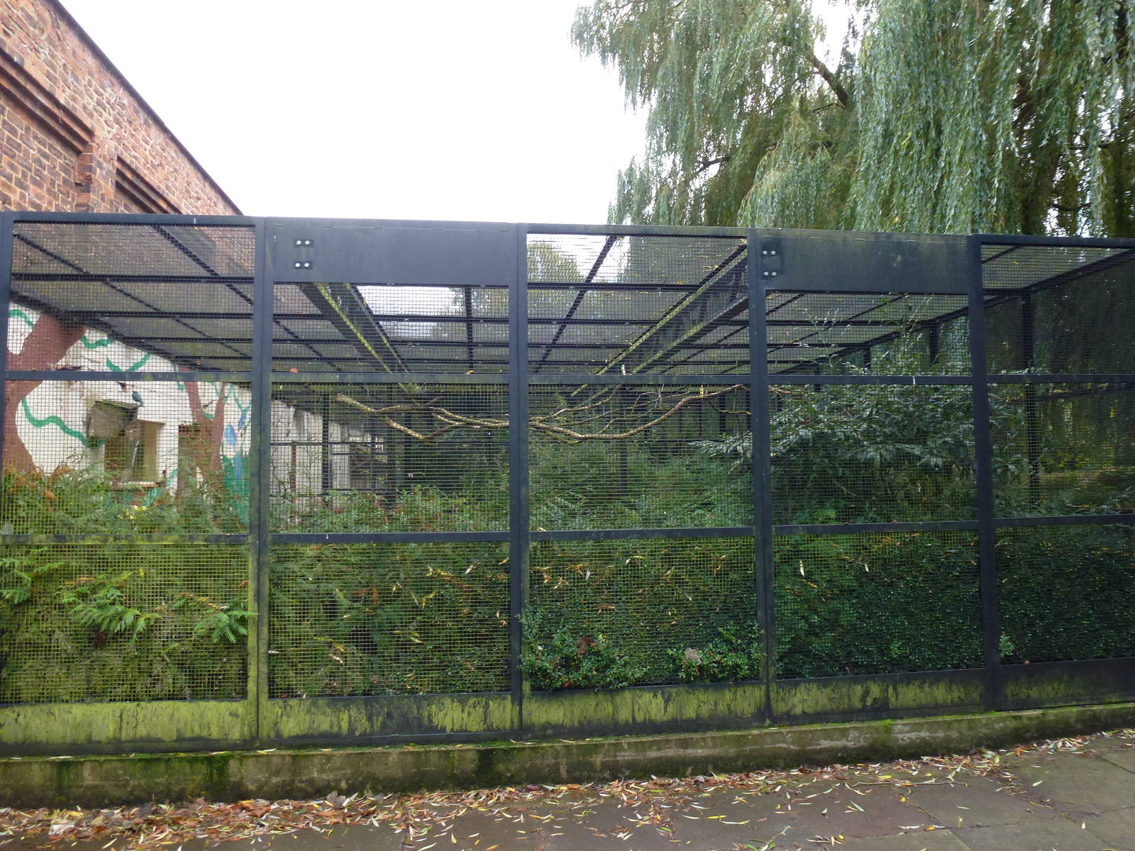 Pickering Park aviaries, November 2013.