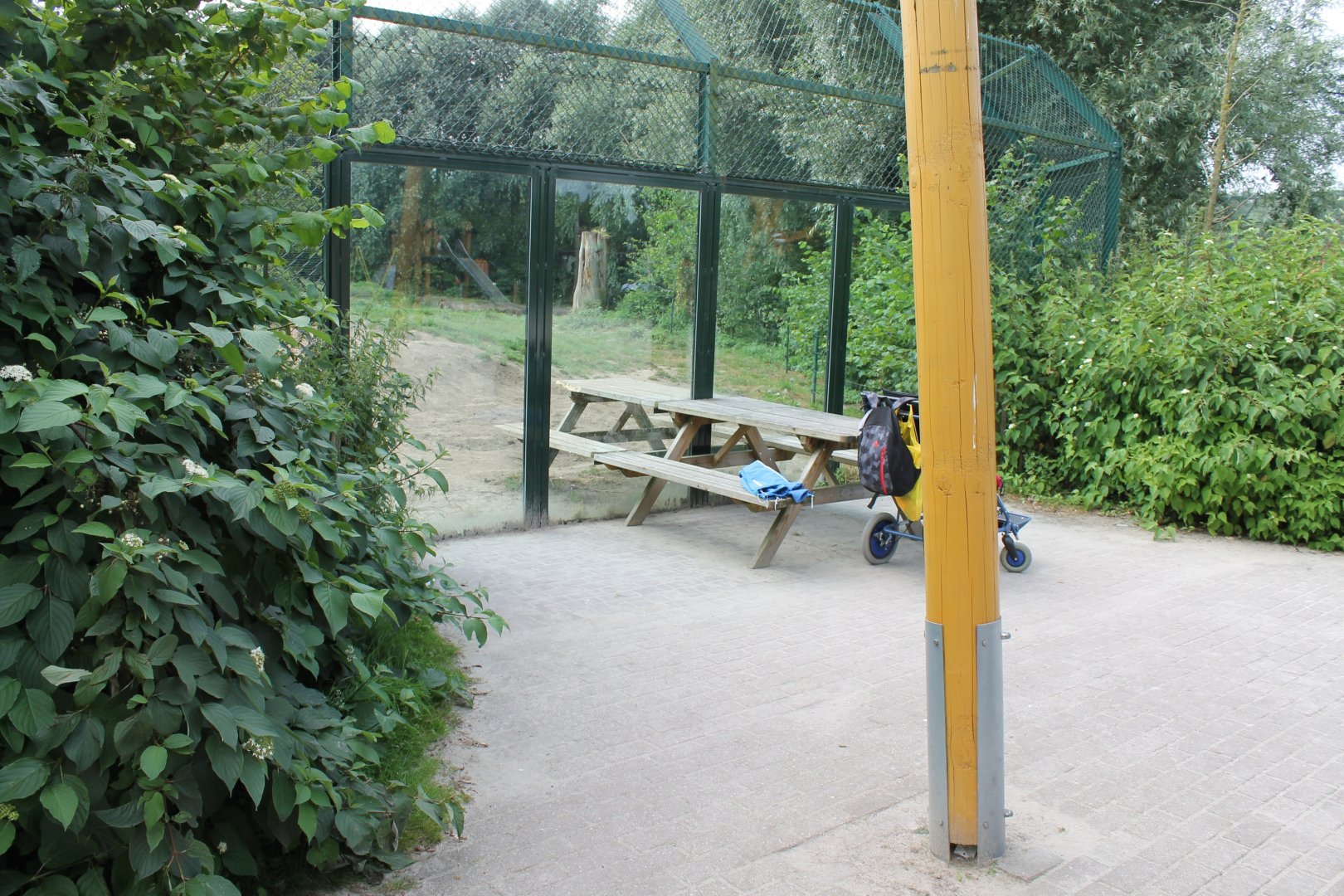 Picknick with Brown bears