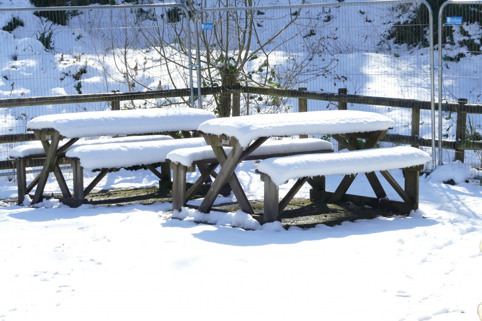 Picnic anyone? 20 March 2018