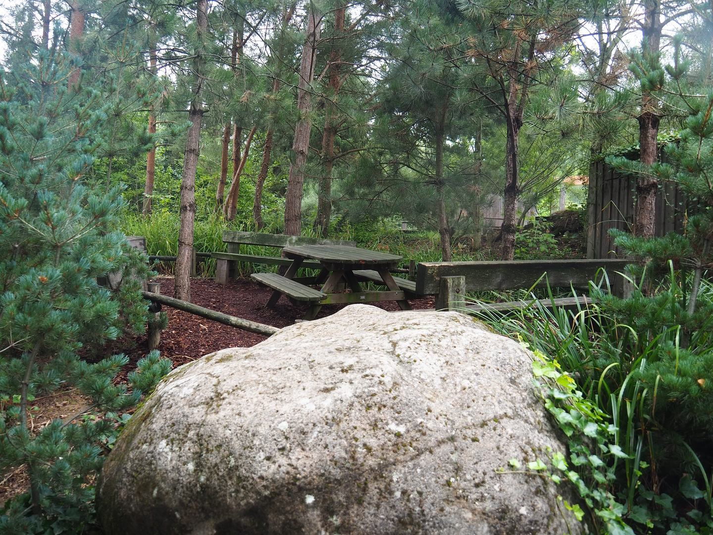 Picnic area, 2022-08-20