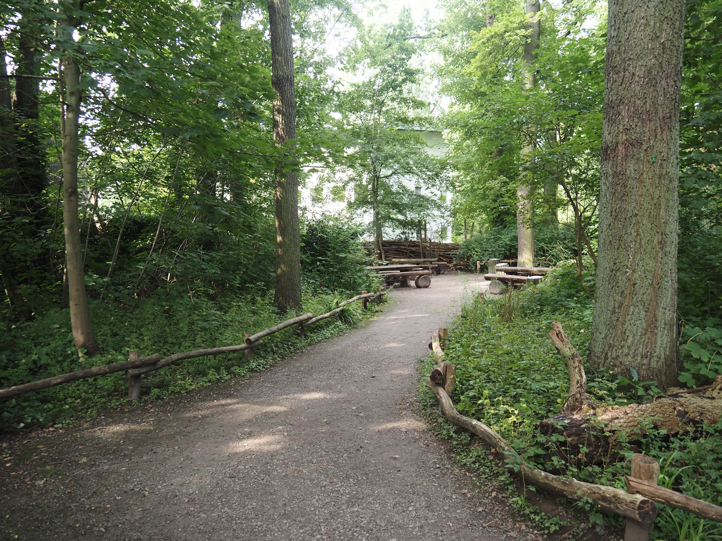 Picnic area, 2024-08-05