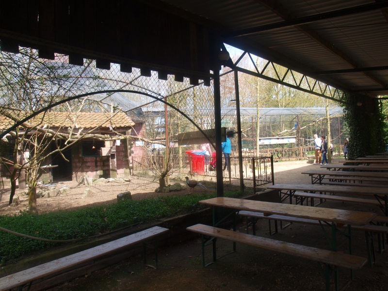 Picnic area and aviaries (April 19th, 2015)