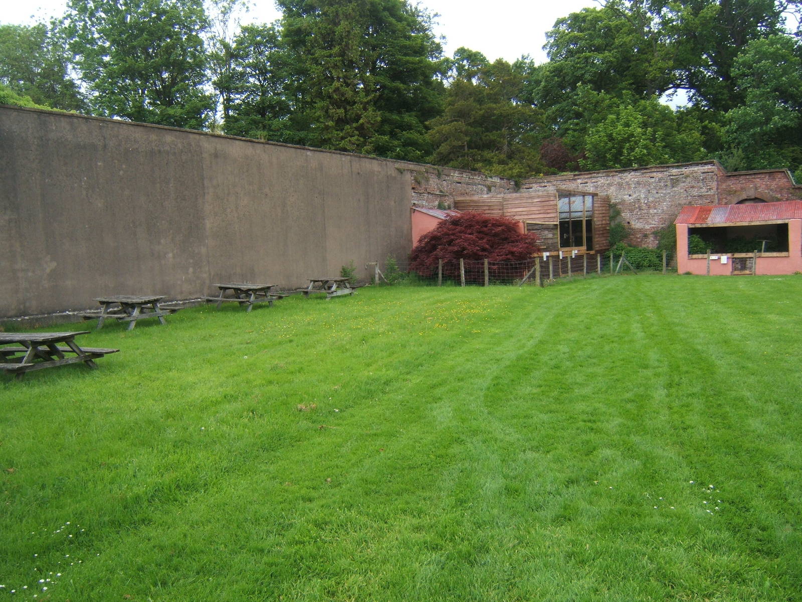 Picnic area and Bald Eagle aviary in the corner