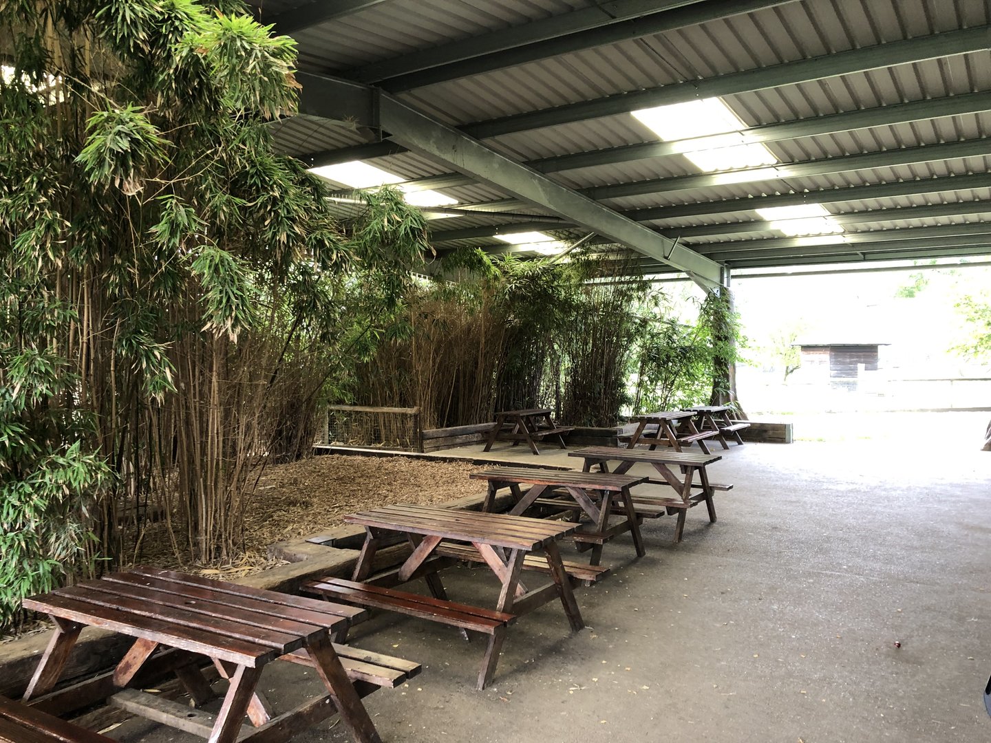 Picnic Area at Hamerton Zoo Park (October 2023)