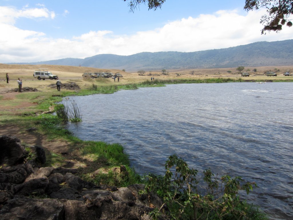 Picnic area by Gorgigor Swamp