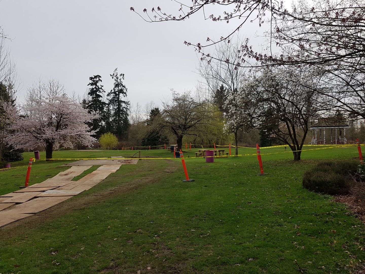 Picnic Area Construction