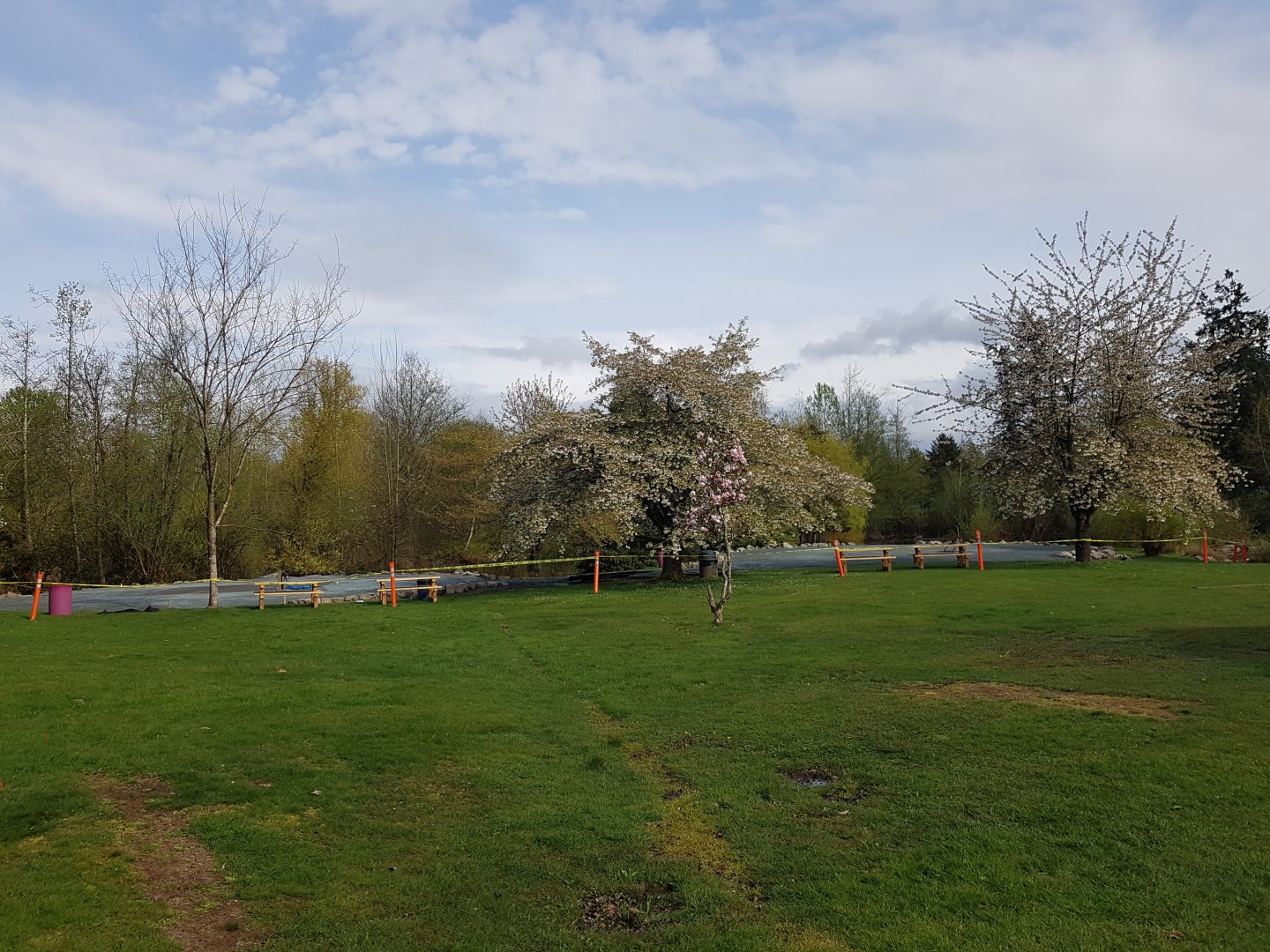 Picnic Area Construction