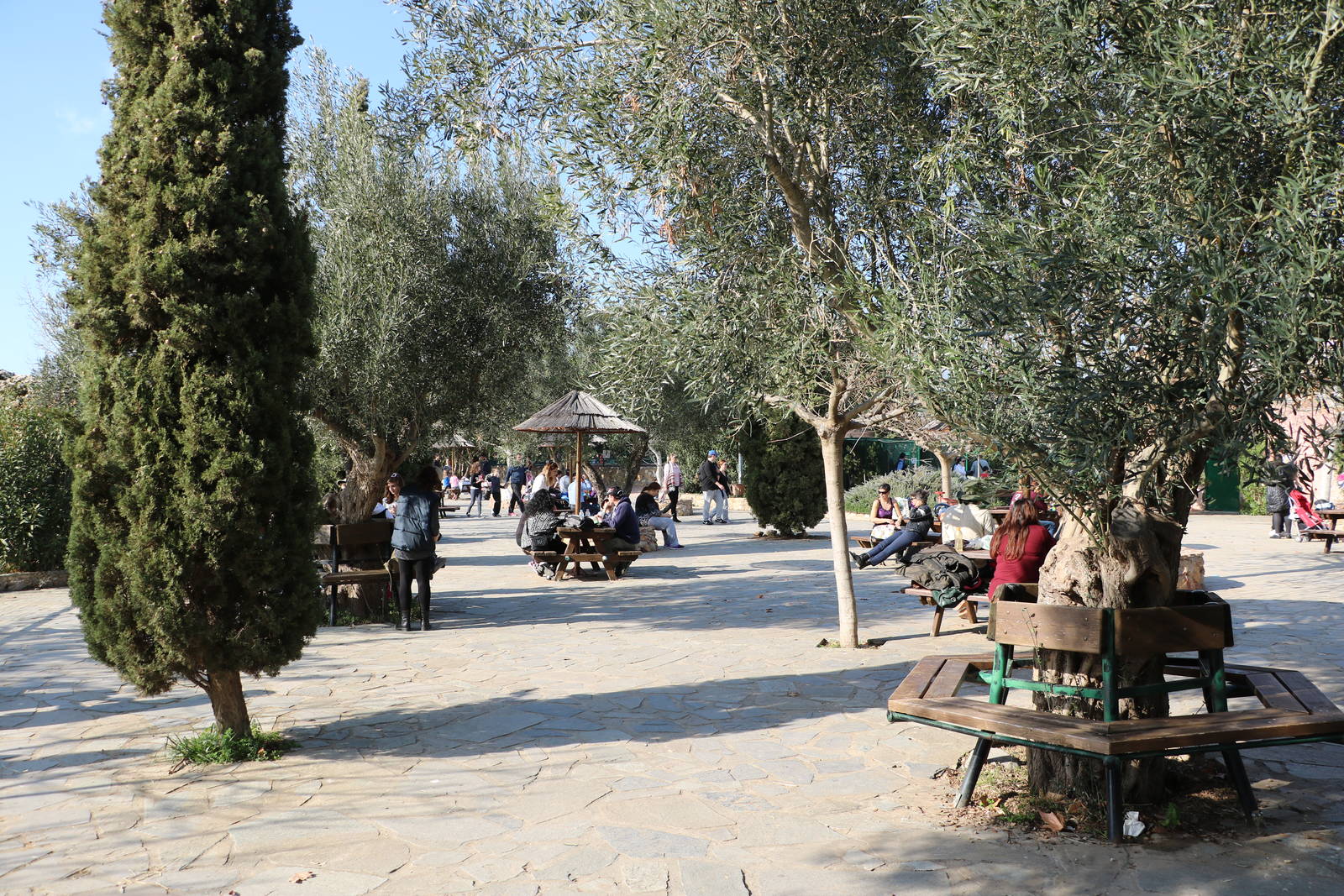 Picnic area, February 2016