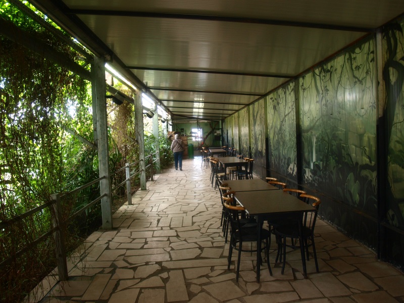 Picnic area in the Tropics Hall (April 19th, 2015)