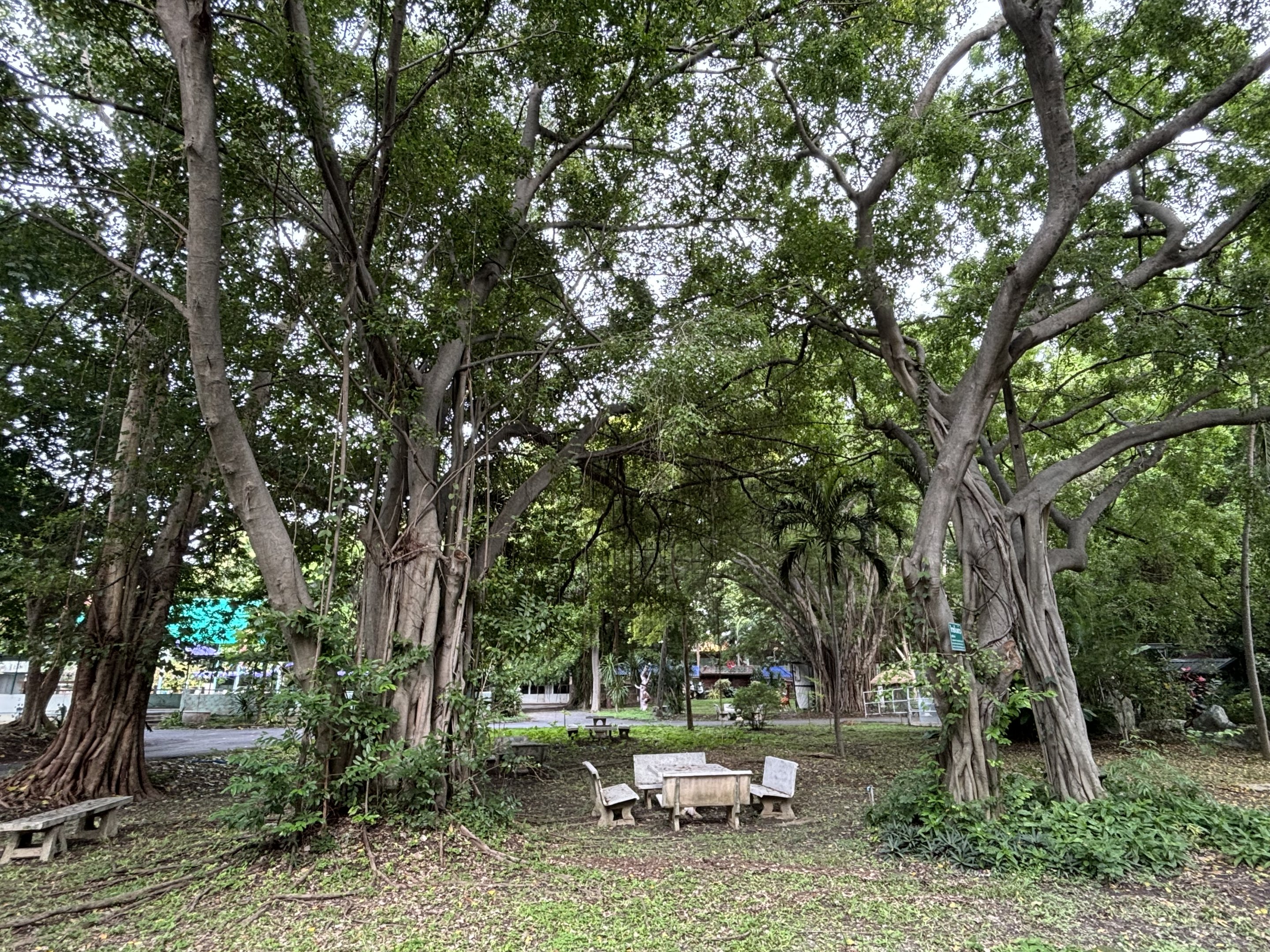 Picnic Area - Lopburi Zoo