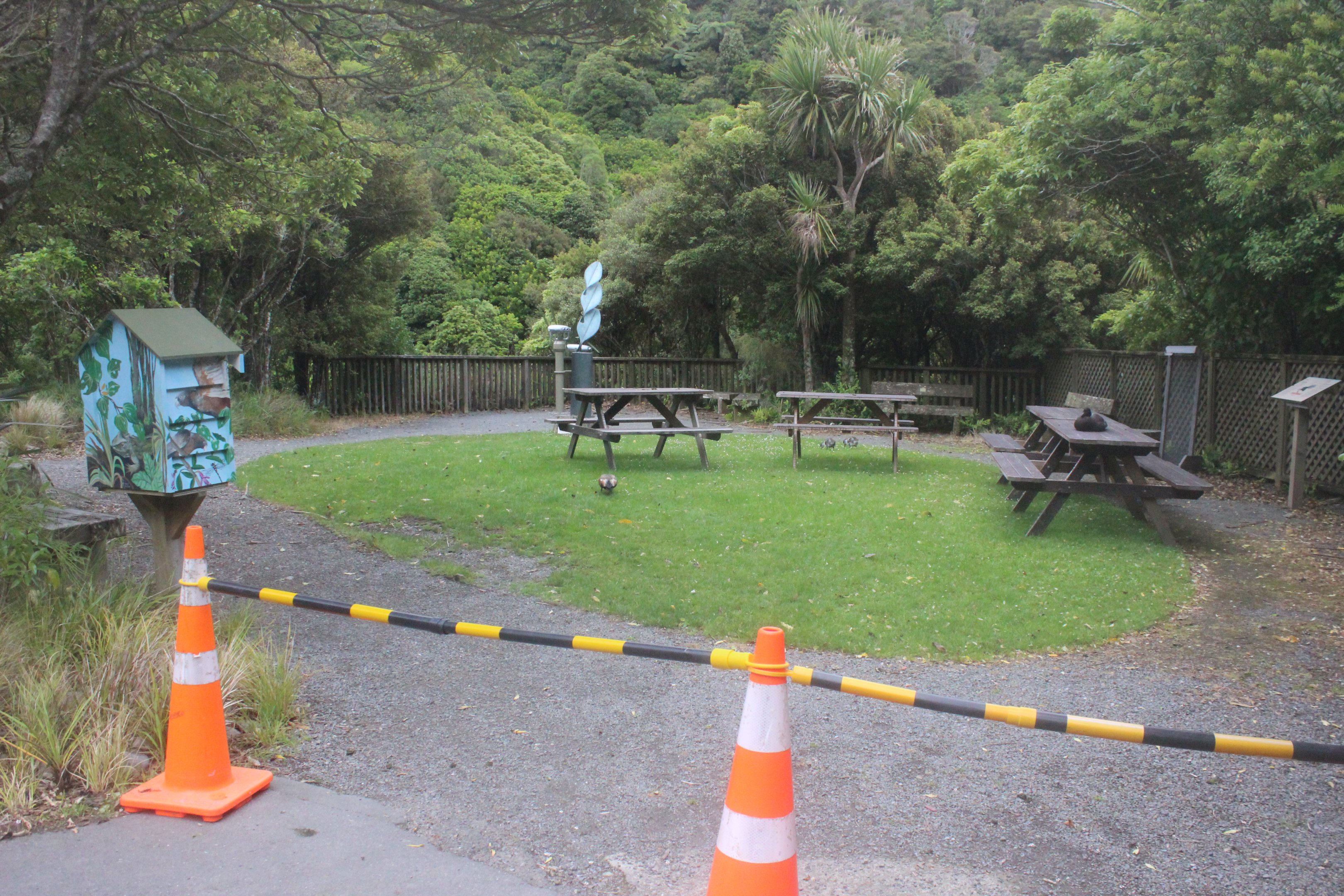 Picnic Area (off-limits to protect Paradise Shelduck family)