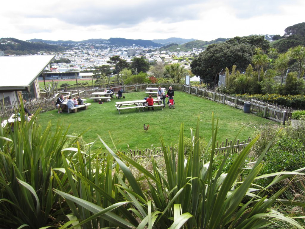Picnic area with a view