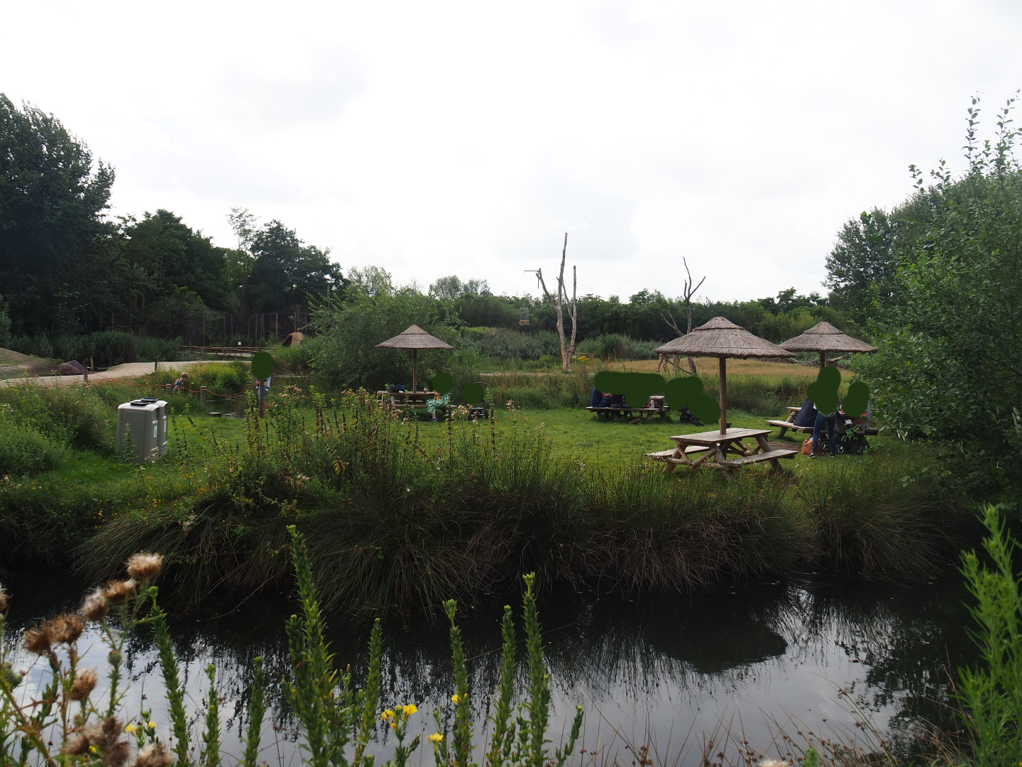 Picnic island, 2019-08-11