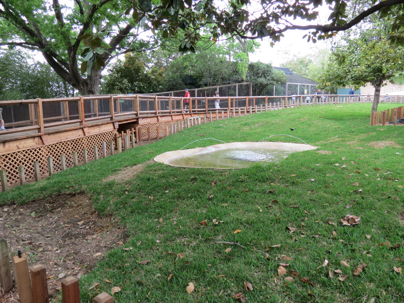 Picnic Ridge - Galapagos Tortoise Exhibit