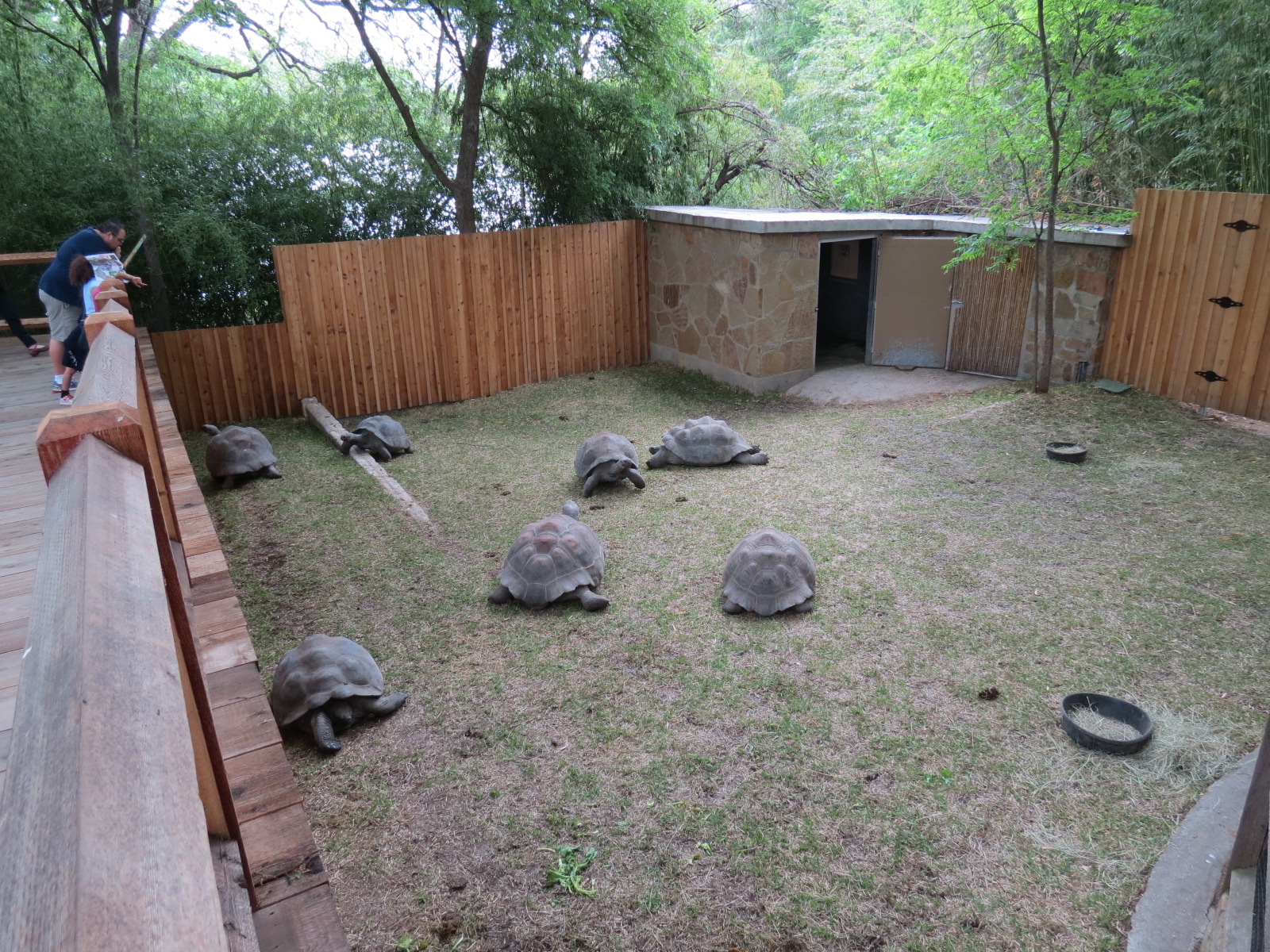 Picnic Ridge - Galapagos Tortoise Exhibit