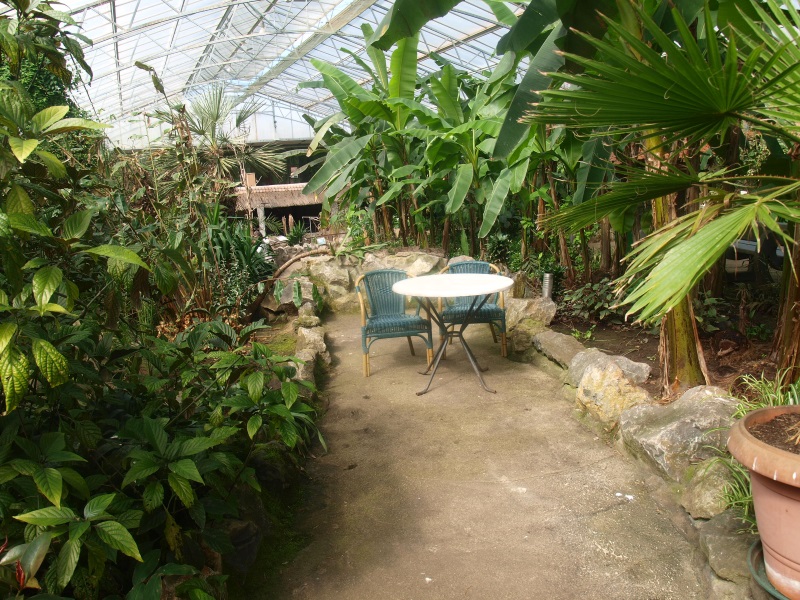 Picnic table in the Tropics Hall (April 19th, 2015)