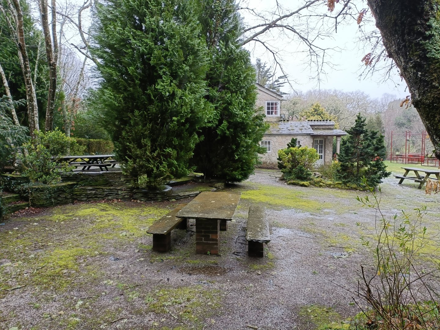 Picnic zone - Avifauna Lugo