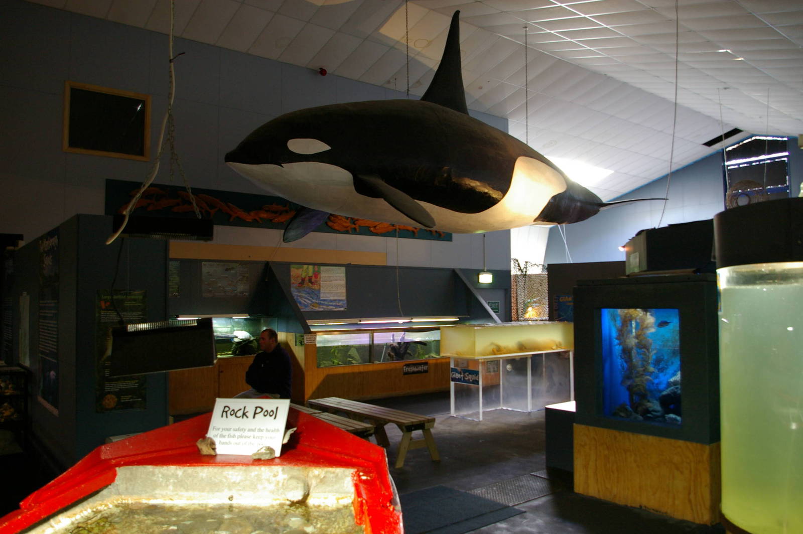Picton Aquarium
