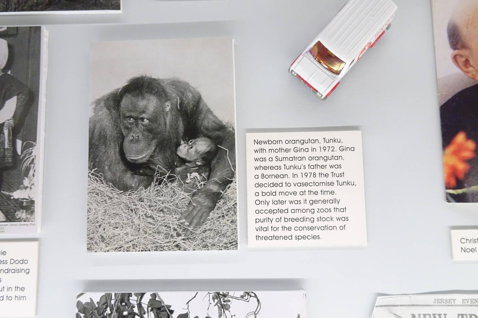 Pictures from an Exhibition, October 2016