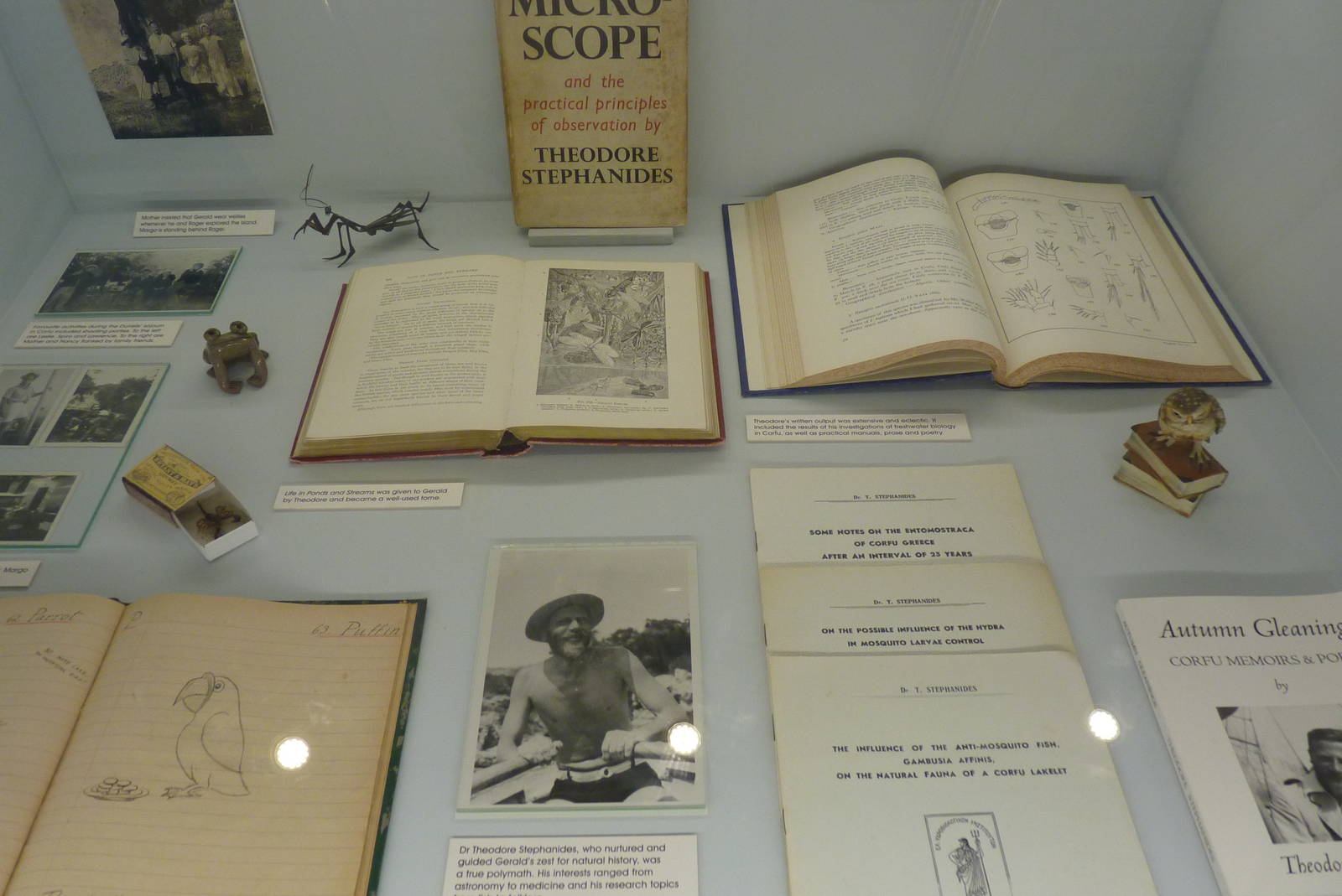 Pictures from an Exhibition, October 2016