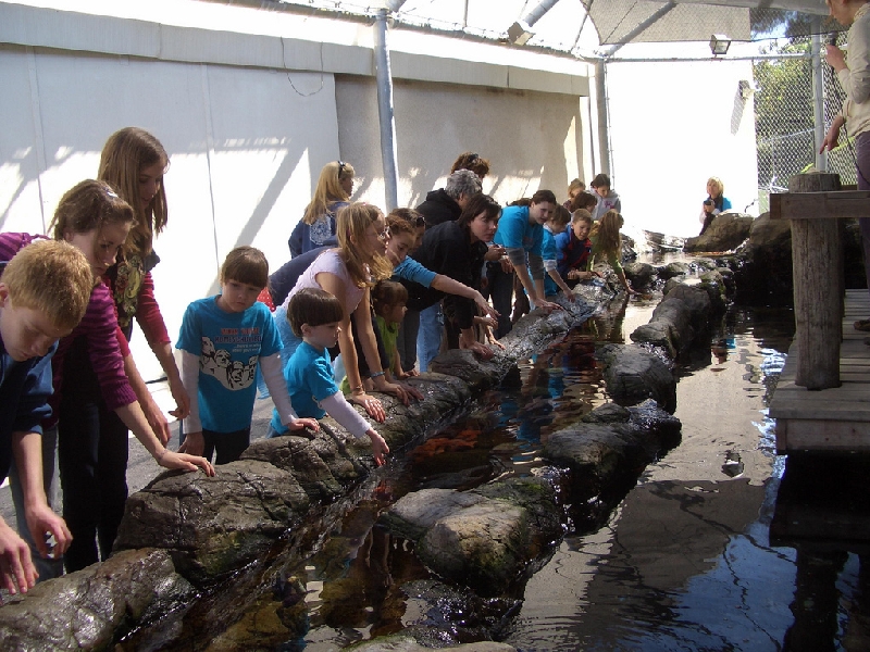 Pictures of various exhibits
