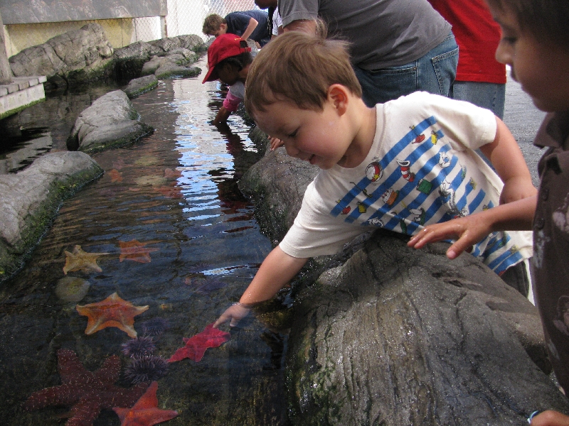 Pictures of various exhibits