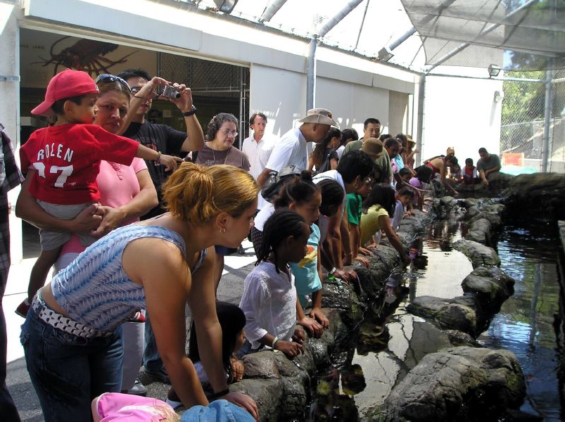 Pictures of various exhibits