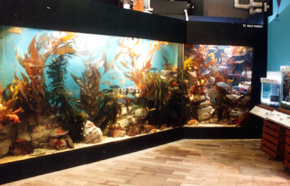 Pictures of various exhibits