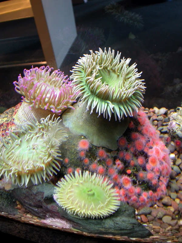 Pictures taken around opening