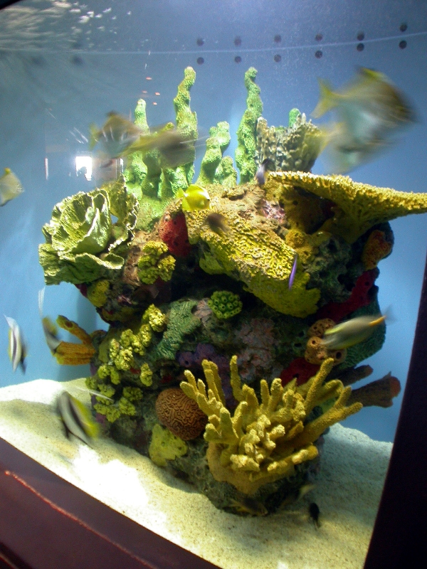 Pictures taken around opening