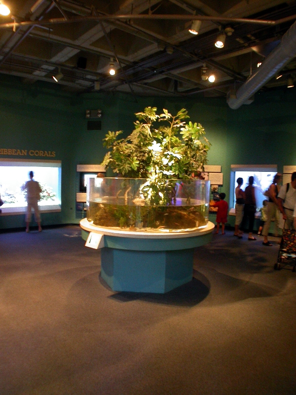 Pictures taken around opening