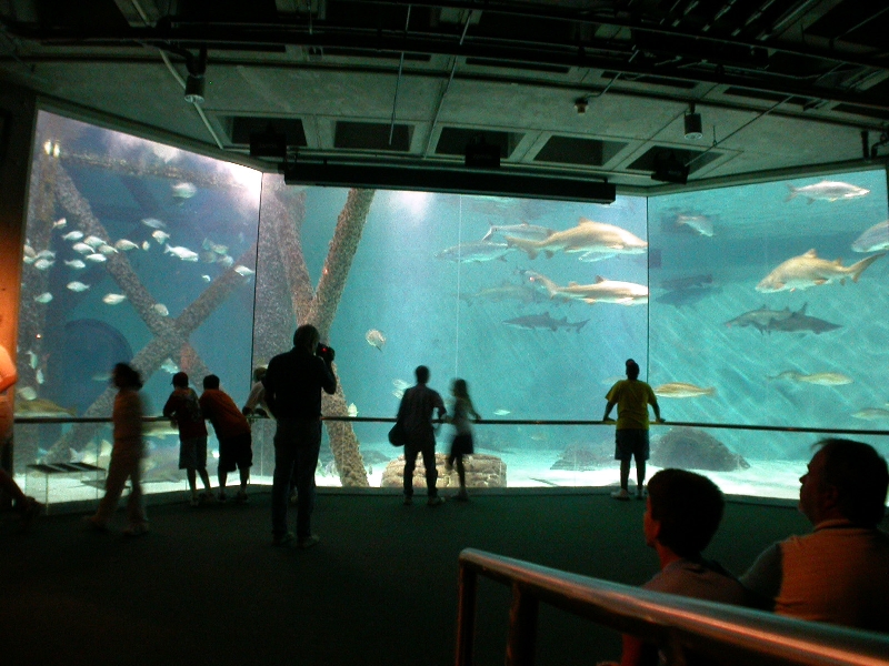 Pictures taken around opening