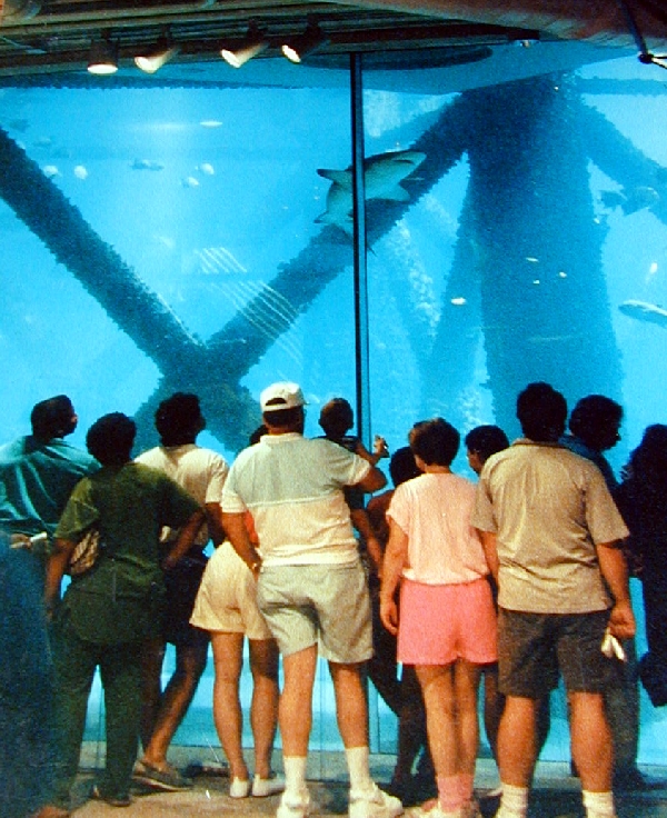 Pictures taken around opening