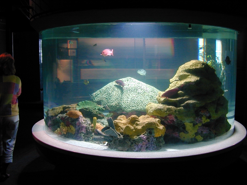 Pictures taken around opening