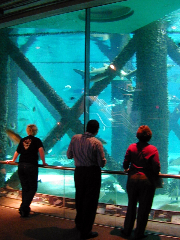 Pictures taken around opening