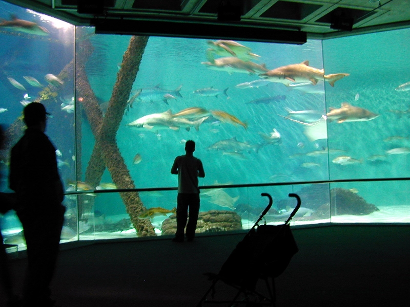 Pictures taken around opening