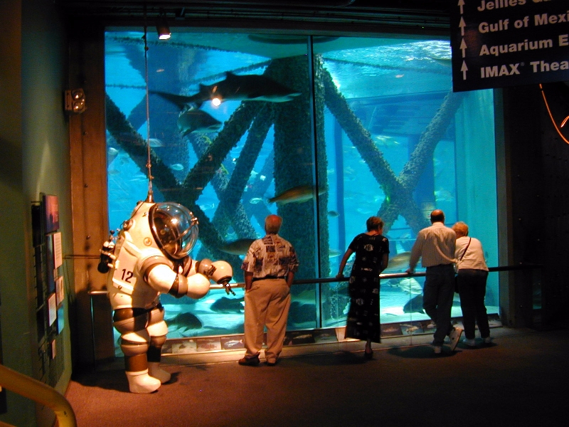 Pictures taken around opening