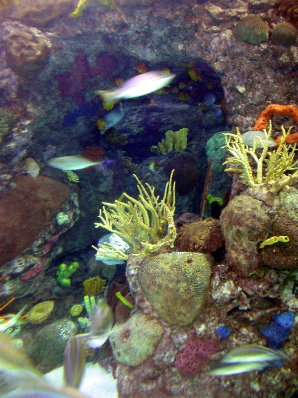 Pictures taken around opening