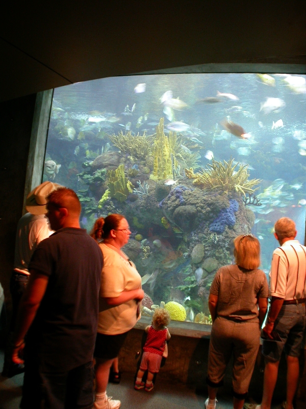 Pictures taken around opening