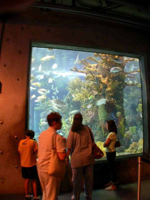 Pictures taken around opening